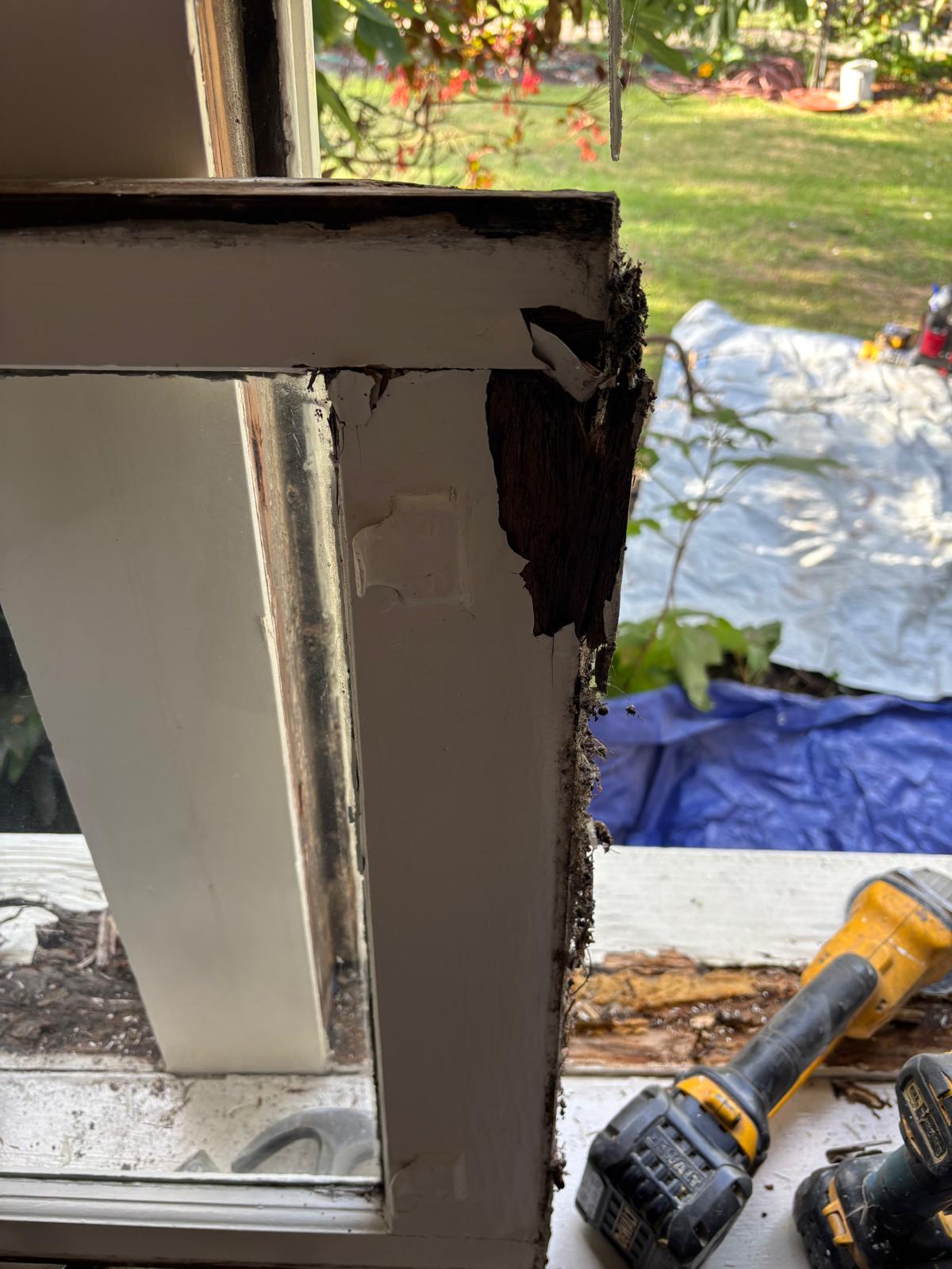 Timber window sill rotten