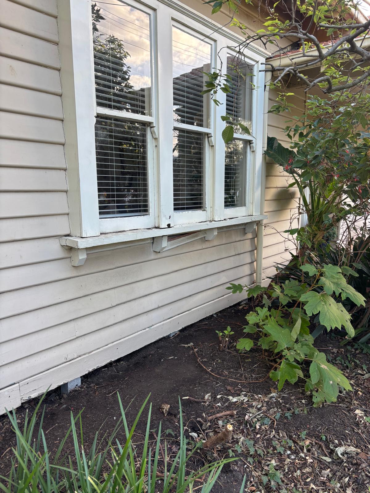 Timber Window Replacement in Newport